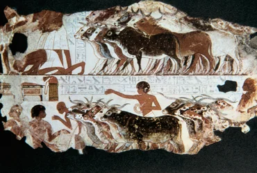 Väggmålning från Nebarununs grav, Thebe, Egypten, c1350 f.Kr