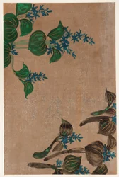 Vattenväxter med blå blommor, Edo-perioden, 1615-1868.