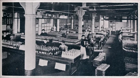 Där den berömda Yorkshire Relish består, 1906