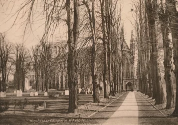 Winchester Cathedral and Avenue, Hampshire, tidigt 1900-tal.
