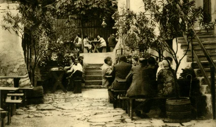 Vingård i Grinzing, Wien, Österrike, c1935.