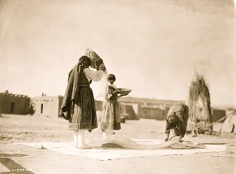 Vinnande vete--San Juan 1905 (foto)