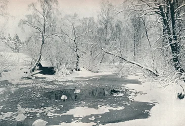 Vintervy över friluftsmuseet på Skansen, ca 1900
