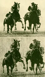 Trådlös fototelegrafi, c1930.