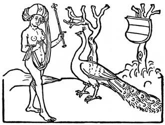 Kvinna och påfågel, 1475, 1964.