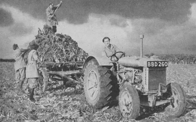 Kvinnors landarmé lyfter en skörd, andra världskriget, 1940