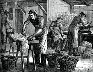 Wool sorters, c1880