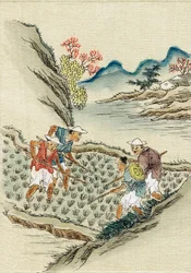 Arbetare som odlar ris i ett risfält, 1800-talet