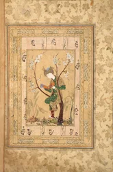 Ungdom sitter i gaffeln på ett blommande träd, 1560-talet