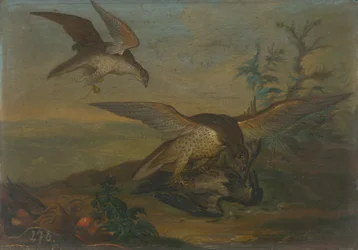 Fågelkamp