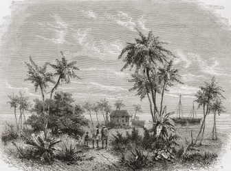 David Livingstones hus i Zanzibar, Tunisien, Östafrika, illustration från "The World in the Hands", graverad av Henri Theophile Hildibrand (1824-97), publicerad 1878.