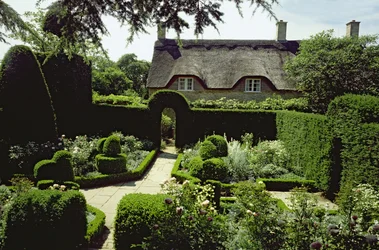 Hus och trädgård