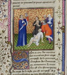 Ms.251 f.54v En läkare med sina patienter, från Des Proprietez des Choses, c.1415