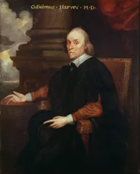 William Harvey (1578-1657) kunglig läkare, 1600-talet