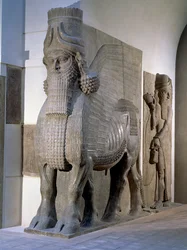 00330 Bevingad tjur från fasaden av kung Sargon II:s palats, Khorsabad, sena assyriska perioden, c.725 f.Kr. (gips)