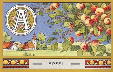 A: Apple - Alphabet Palmine. Serie av kromolitografier redigerade av H. Schlinck & Cie, Hamburg, sid. d. . Annons för Palmins finaste kokosfett. Mått: 7 x 11 cm