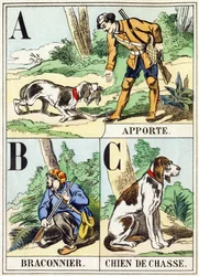 A B C: Bring, Poacher, Hunting Dog - The Hunting Alphabet, c.1890 (gravyr)
