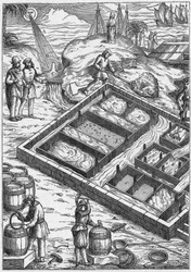 En saltmyr på 1500-talet (gravyr)