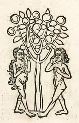 Adam och Eva under Kunskapens träd
