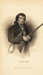 Alexander Wilson, skotsk-amerikansk ornitolog, naturforskare och poet