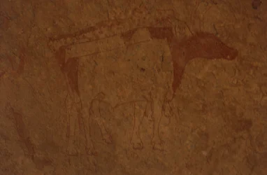 Algeriet, Saharaöknen, Tassili-n-Ajjer nationalpark, platsen för Sefar, klippmålning föreställande tjur.