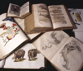 Forntida zoologiböcker