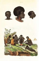 Australiska aboriginer och överhuvuden för infödda i Waigeo, Västpapua1834-1839 (gravyr)