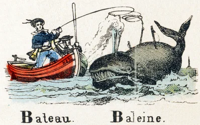 B - Whale Boat - Alfabet - barnunderhållning - Bildepinal, populär serie c.1890 (illustration)