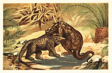 Slaget mellan en Megalosaurus bucklandii och Iguanodon bernissar1908 (litografi)