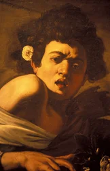 Pojke biten av en ödla (detalj), Caravaggio konstverk, Palazzo Ducale, Genua, Ligurien, Italien