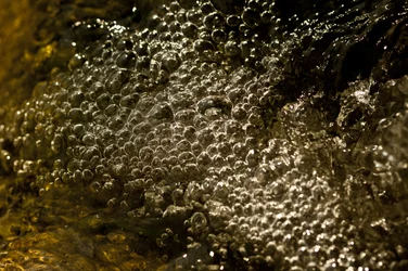 Bubblor (foto)