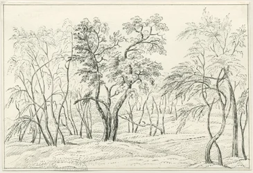 Cannock Chase: penn- och pennteckning, nd [? 1800-talet]