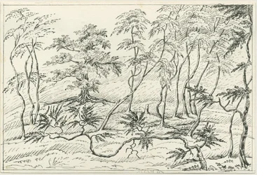 Cannock Chase: penn- och pennteckning, nd [? 1800-talet]