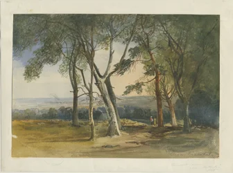 Cannock Chase: vattenfärgsmålning, 1848