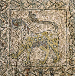 Church of Saint John Evangelist, fjärde korståget, fragment av mosaikgolv som representerar fläckig panter, Ravenna, Emilia-Romagna, Italien