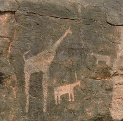Närbild av förhistoriska målningar, Tenereöknen, Niger