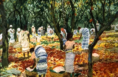 Kakaoskörd i Sao Tome, ca 1910-20 (färg litho)