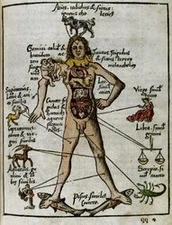 1500-talets kosmografi: zodiakens man