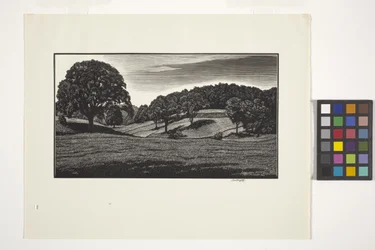 Country Scene (bläck)
