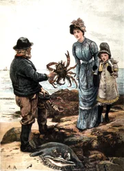 Krabbfiske på den engelska kusten (illustration)