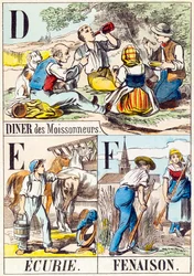 D E F: Diner des Moissonneurs, Ecurie, Fenaison - "Alfabetet på gården" slutet av 1800-talet (gravyr)