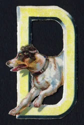 D gillar hund. Beetle decoupis på temat djur. Gravyr. Serie om 26 våffelkromolitografier av engelskt ursprung. Redaktör och illustratör okänd. Slutet av 1800-talet. Mått: 5,5x3,5cm
