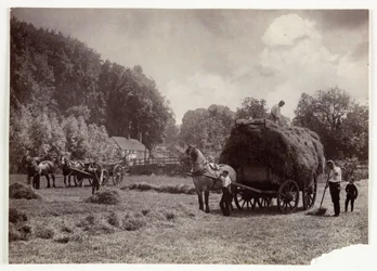 Jordbruksscener, skörd och lagring, höskapning före 1900, ca 1890