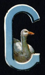 G som Goose. Beetle decoupis på temat djur. Gravyr. Serie om 26 våffelkromolitografier av engelskt ursprung. Redaktör och illustratör okänd. Slutet av 1800-talet. Mått: 5,5x3,5cm