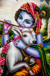 Hinduiska guden Krishna med den kalven. Watford, Storbritannien (Foto)