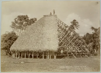 Husbyggnad i Samoa, ca 1875 (sepiafoto)