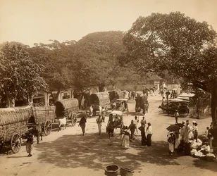 Indisk väg bland träden med vagnar och människor