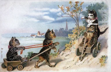 Kattungar i slädar, tidigt 1900-tal (vykort)