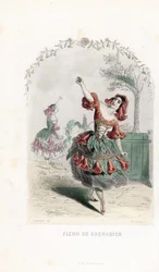 La fee de la fleur de grenade danse - Etsning av Charles Geoffroy (1819-1882), efter en illustration av Jean Ignace Isidore Gerard dit J.J.J.Granville (1803-1847), för Les fleurs animees