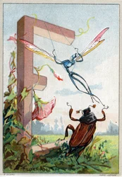 Bokstaven E som Escarpolette. Herr Mariniers konstnärliga alfabet. Redigerad av Henry Sicard, sent 1800-tal. Reklamkromolitografier för produkter som säljs på apotek. Mått: 12,5 x 9 cm